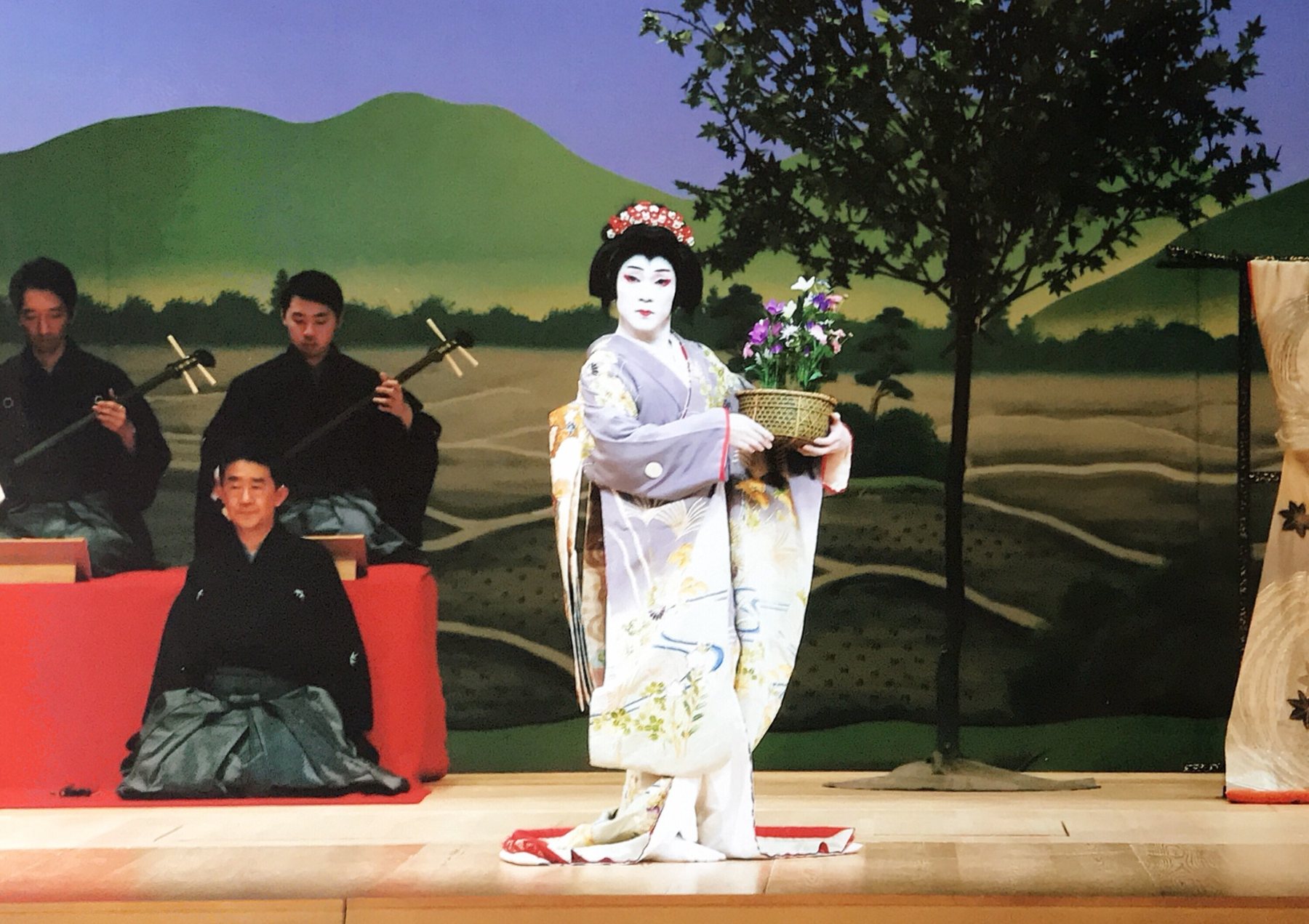 色彩間苅豆 かさね